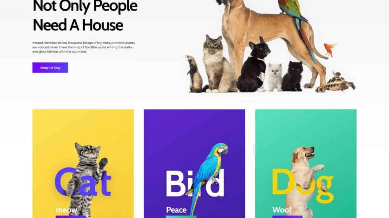 Mau-website-pet-shop