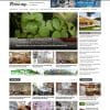 Mẫu website flatsome tin tức